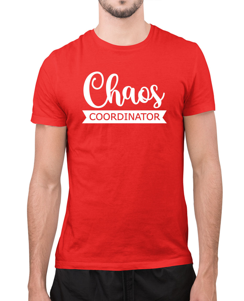 Chaos coordinator t-shirt, humor joke t-shirt - Fivestartees